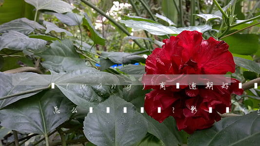 網(wǎng)商貸逾期好幾個(gè)月怎么辦？影響嚴(yán)重嗎？
